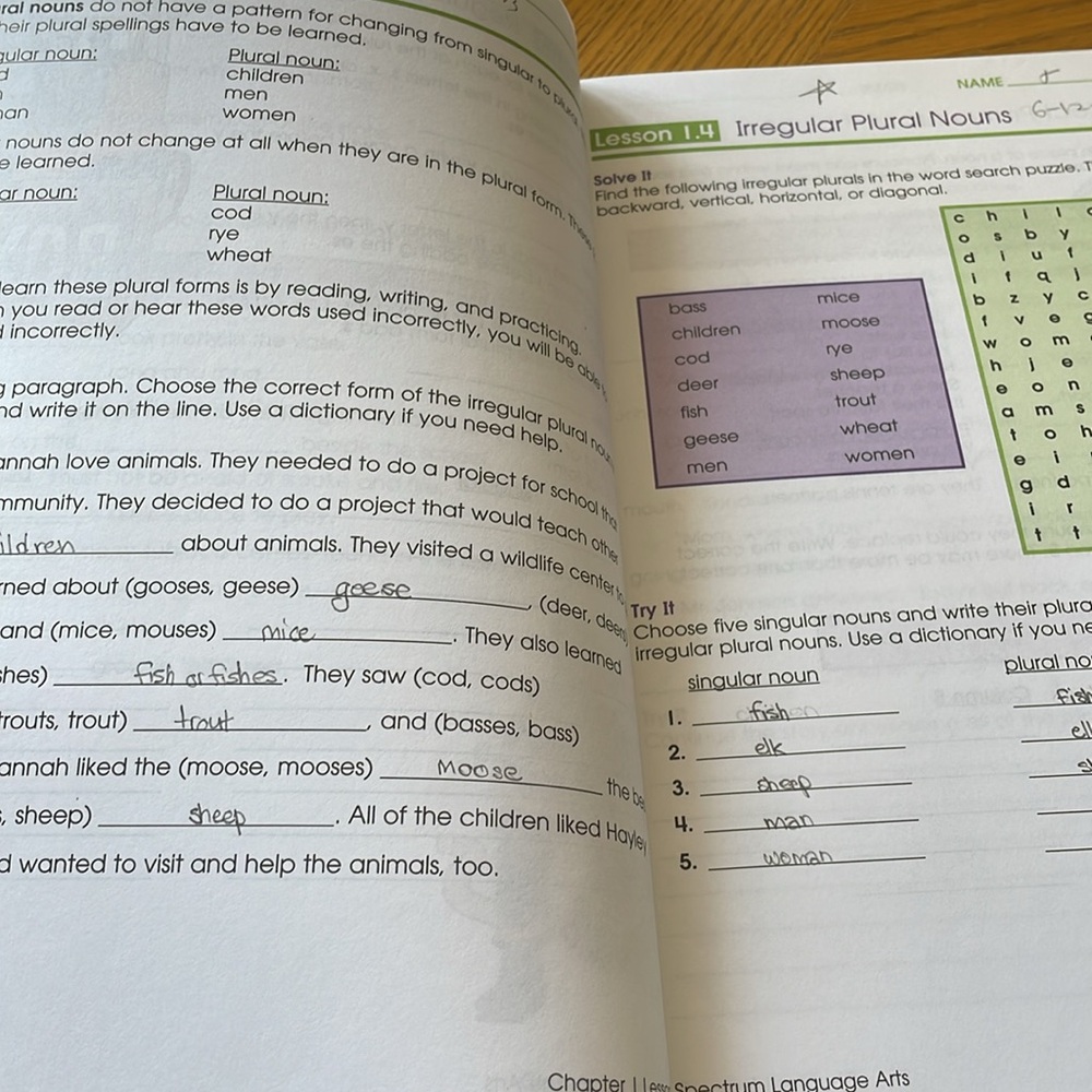 Spectrum Language Arts Grade 5 - Picture 12 of 12